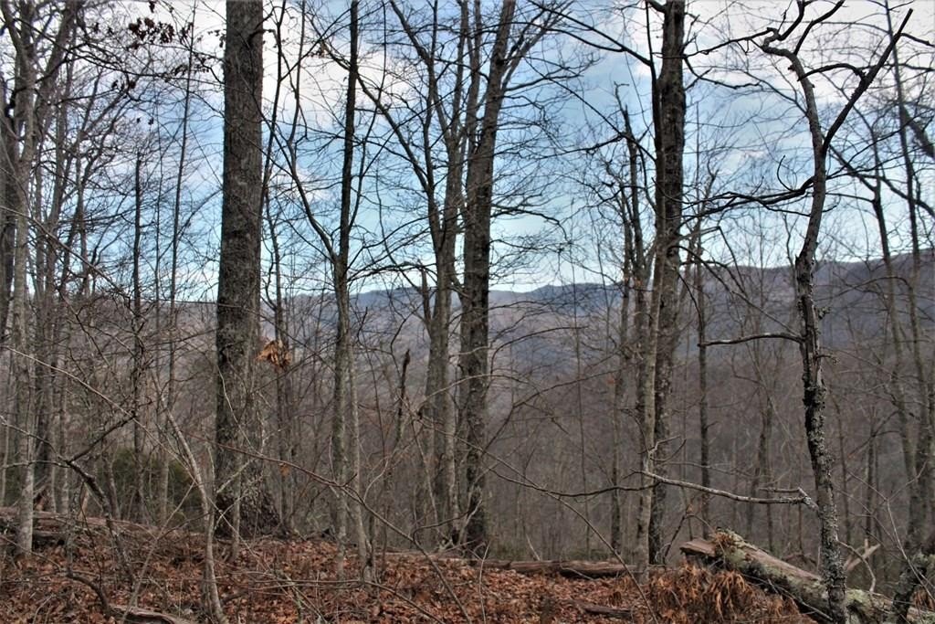 Other - Mountain Vista, Bryson City, NC