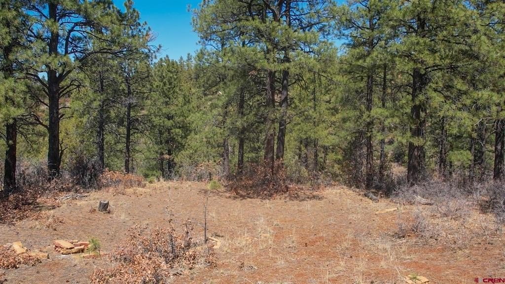 Other - 149 Engineer Point, Pagosa Springs, CO