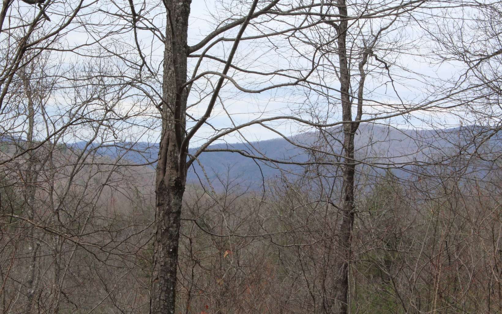 Other - 21 N Ridge High Meadows, Hayesville, NC