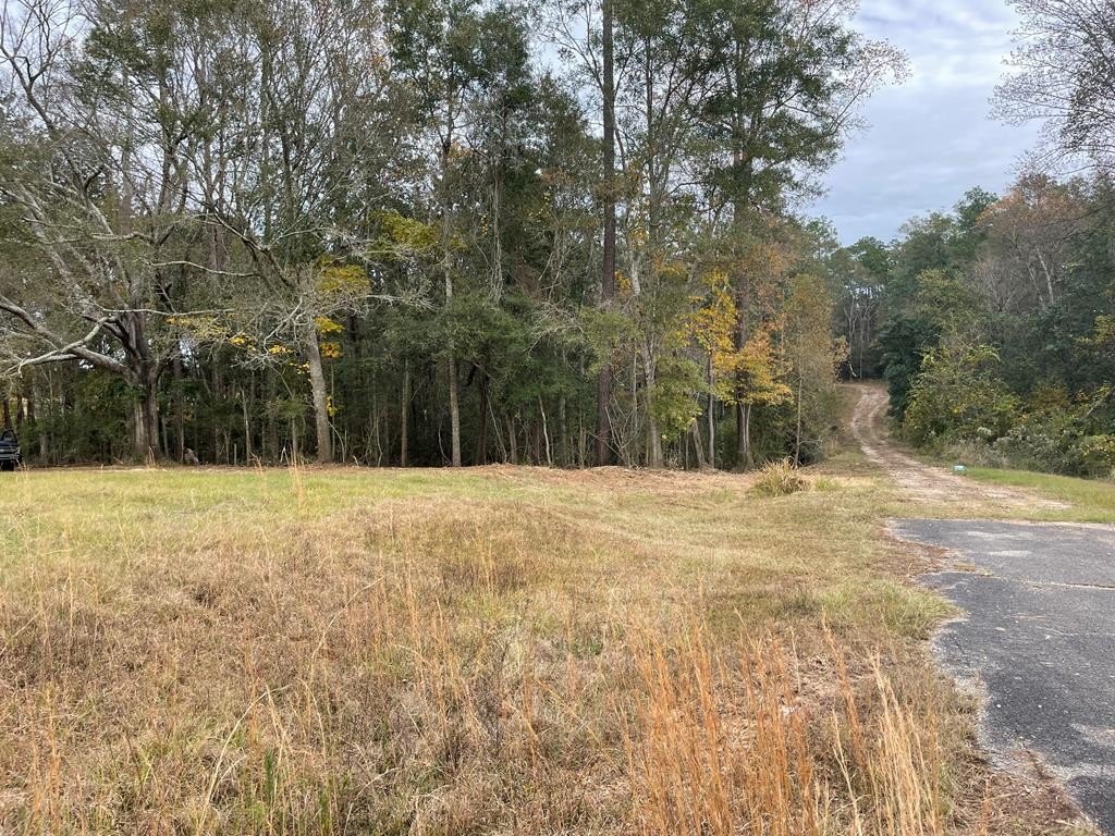 Other - 1452d Caesar rd, Carriere, MS