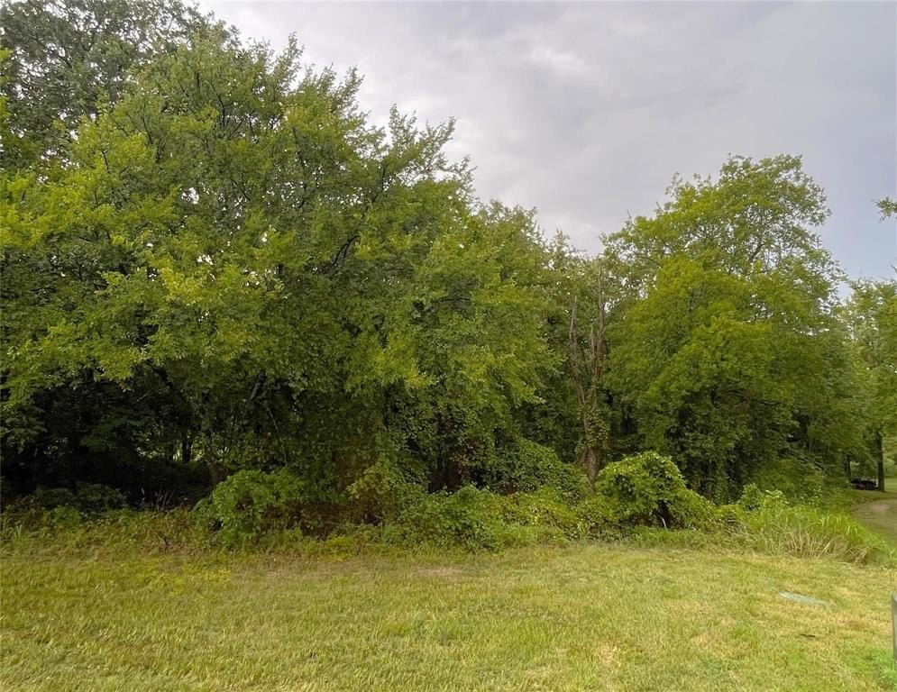 Other - Stonewolf Court lot: 97A, Gordonville, TX