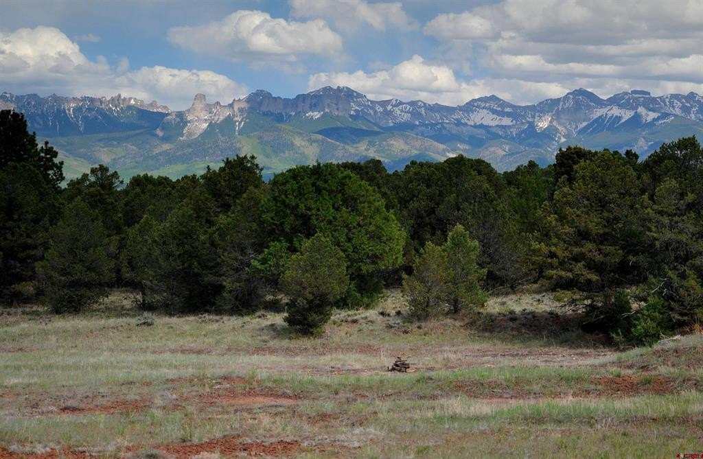Single Family - TBD Ponderosa Drive, Ridgway, CO