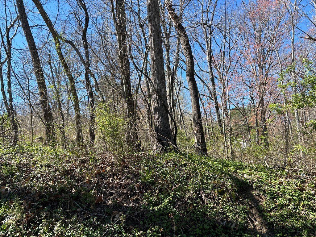 Other - Cherry Lane lot: 0, Ivanhoe, VA