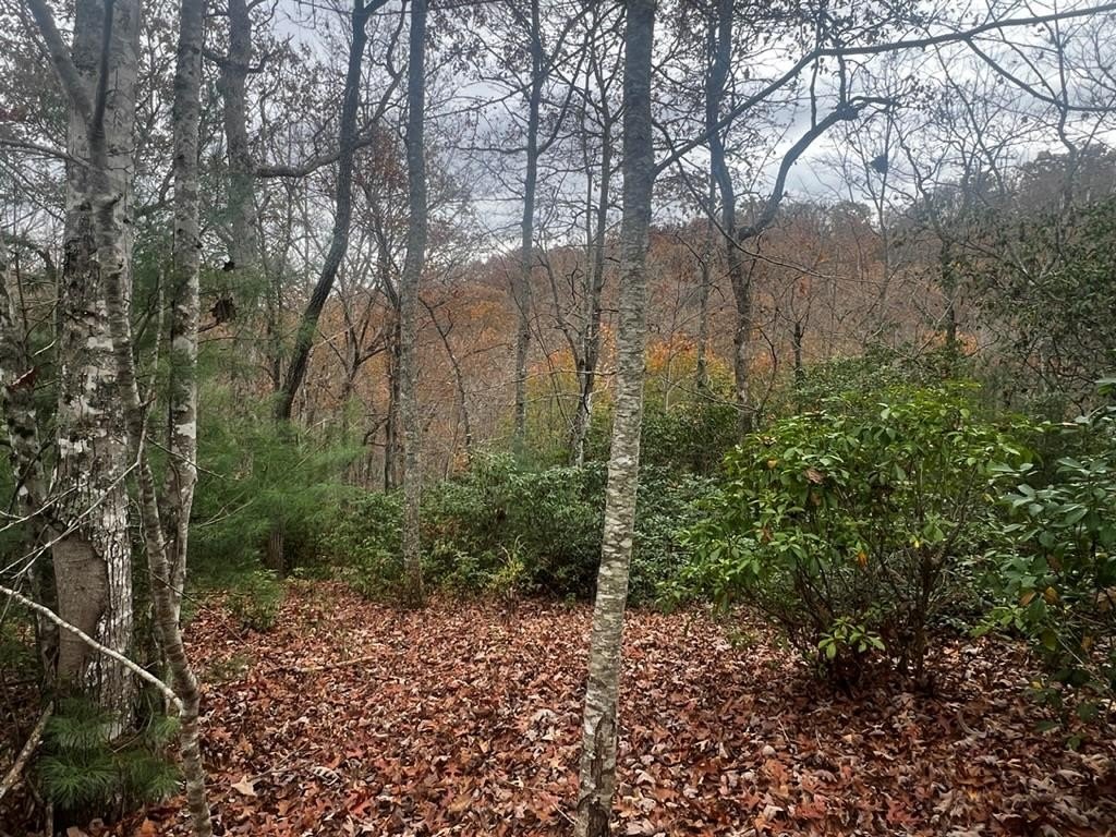 Other - Deerwood Dr lot: 19, Franklin, NC