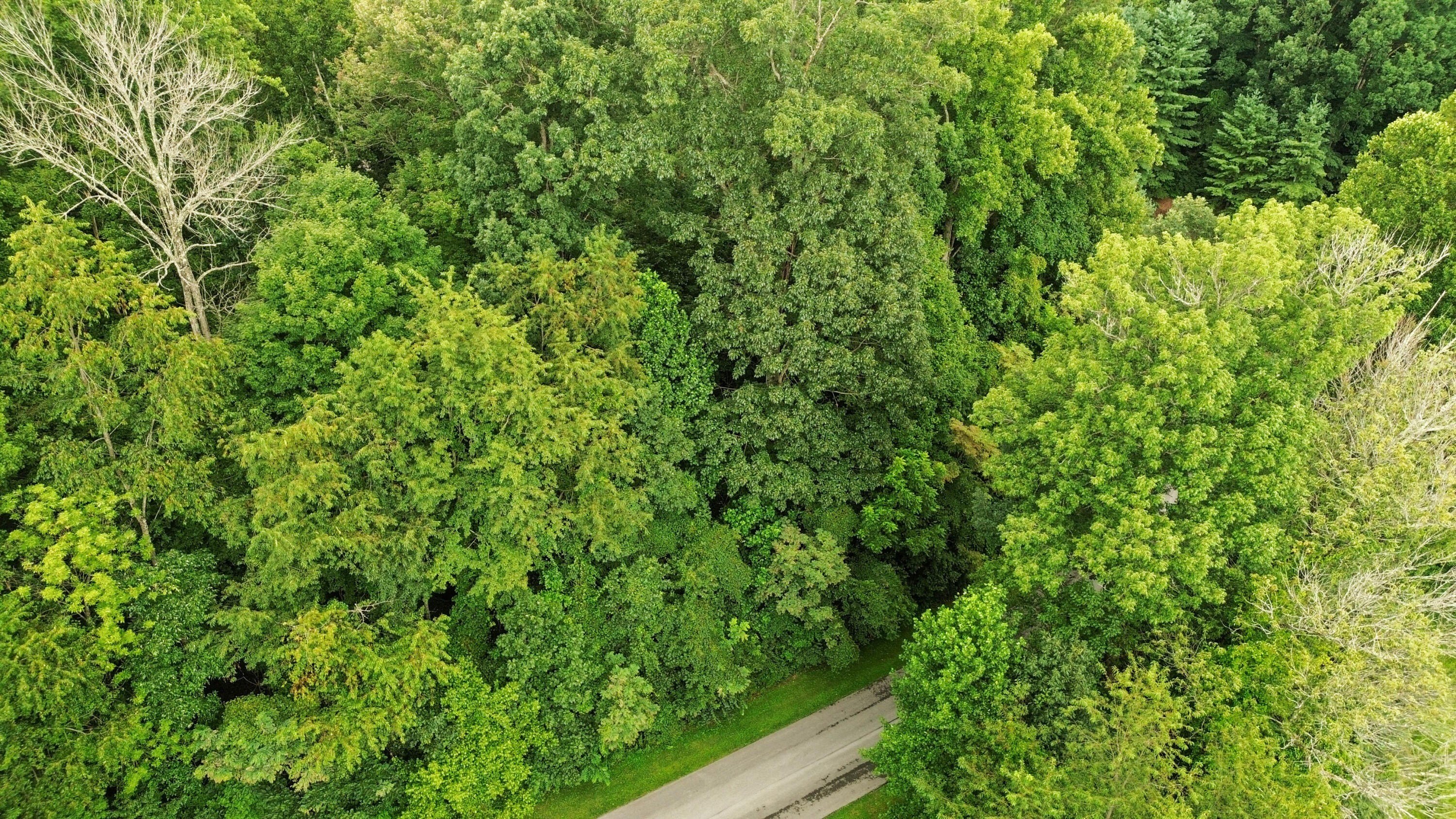 Other - Stonewall Ridge lot: 24, Bristol, VA