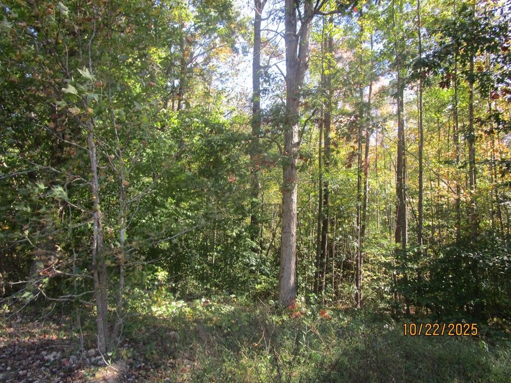 Other - Pleasant Oak, Victoria, VA