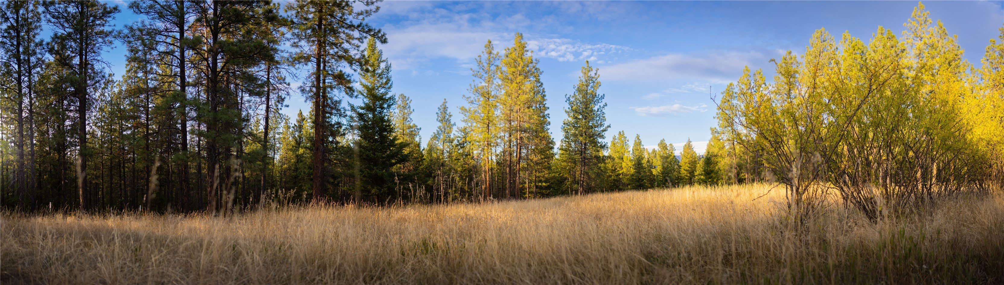 576 Koocanusa Ests Dr  