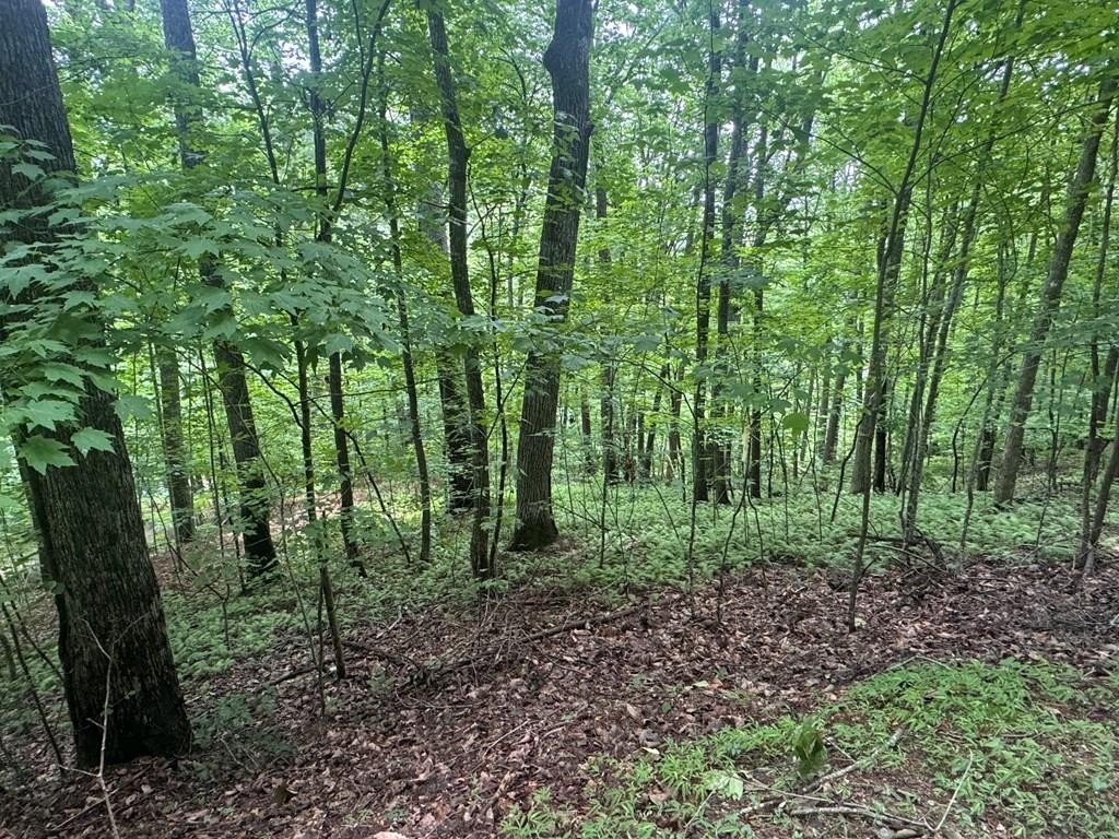 Other - Lot 31 Highland Forge Lane, Blairsville, GA