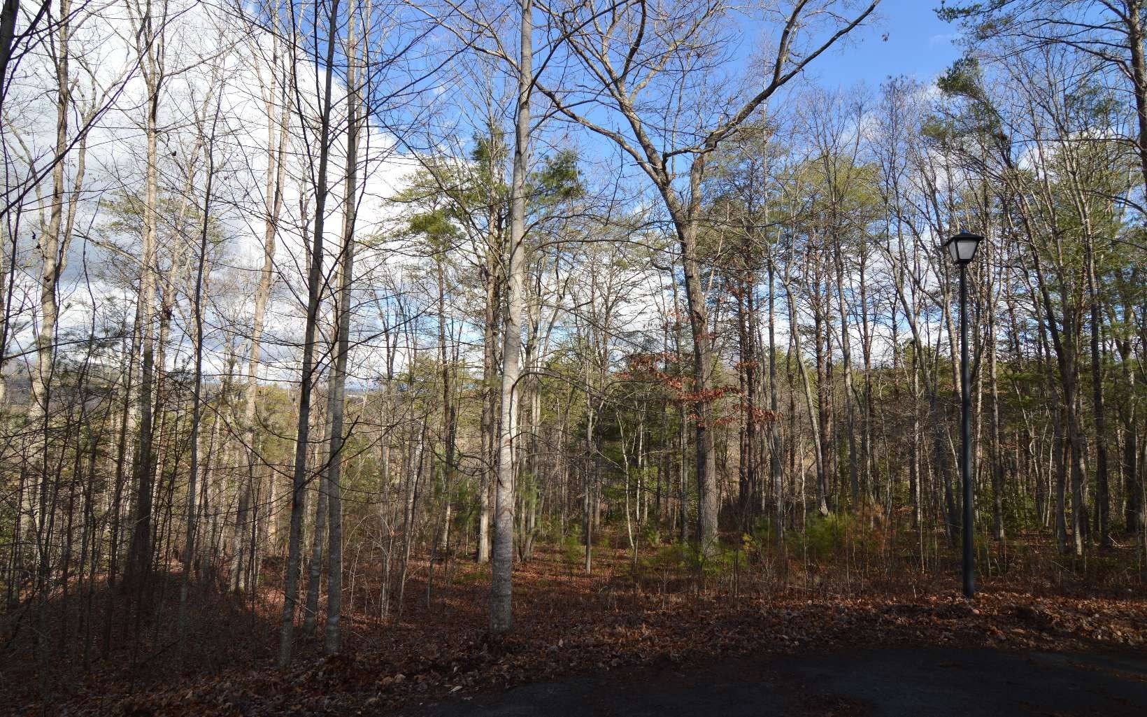 Other - Lot 26 Coosa Bend Drive, Blairsville, GA
