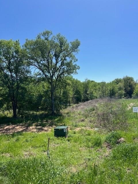 Plots and Land - 1004 Bermes Court, Brock, TX