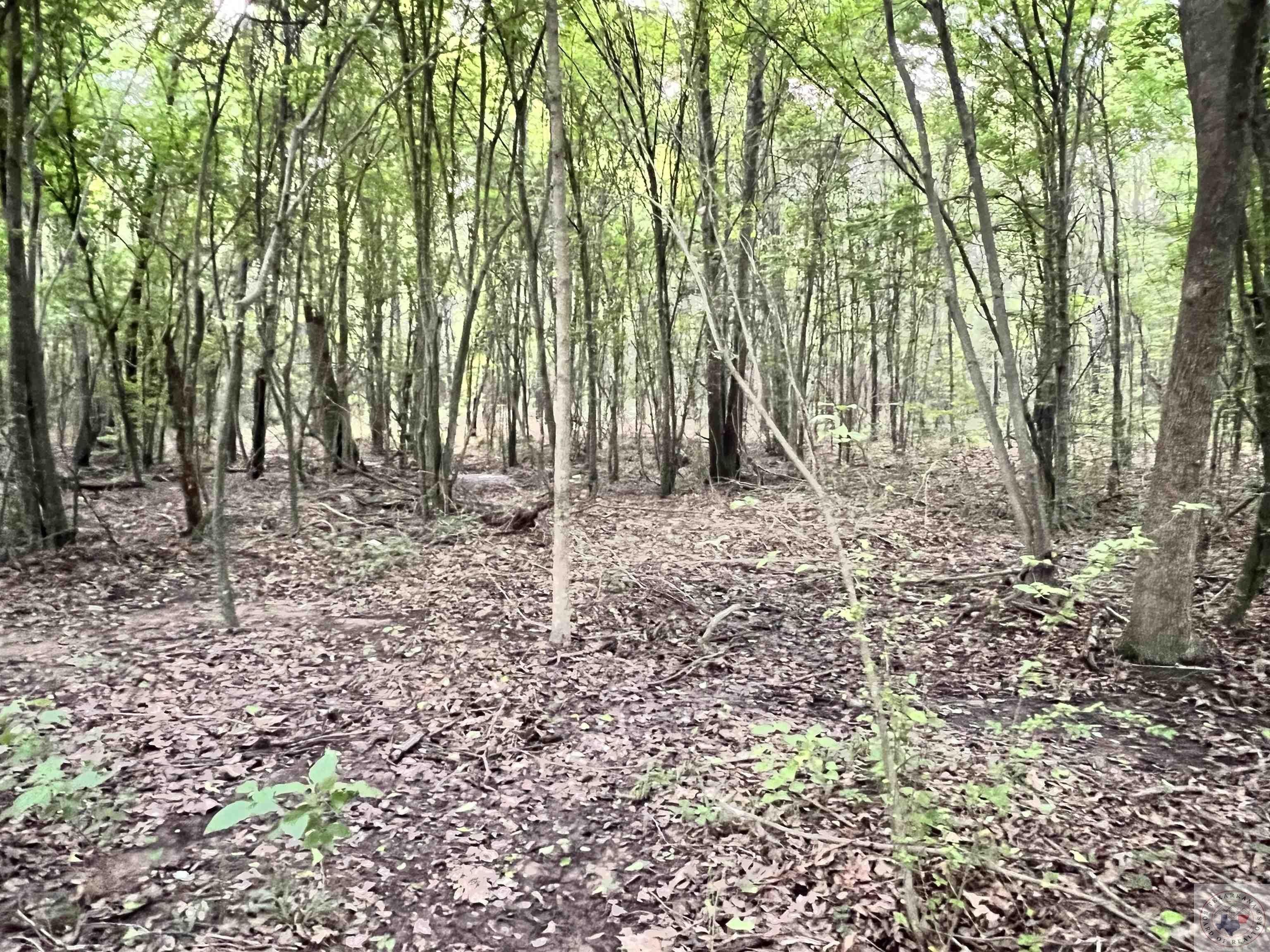 Other - Miller County 244, Fouke, AR