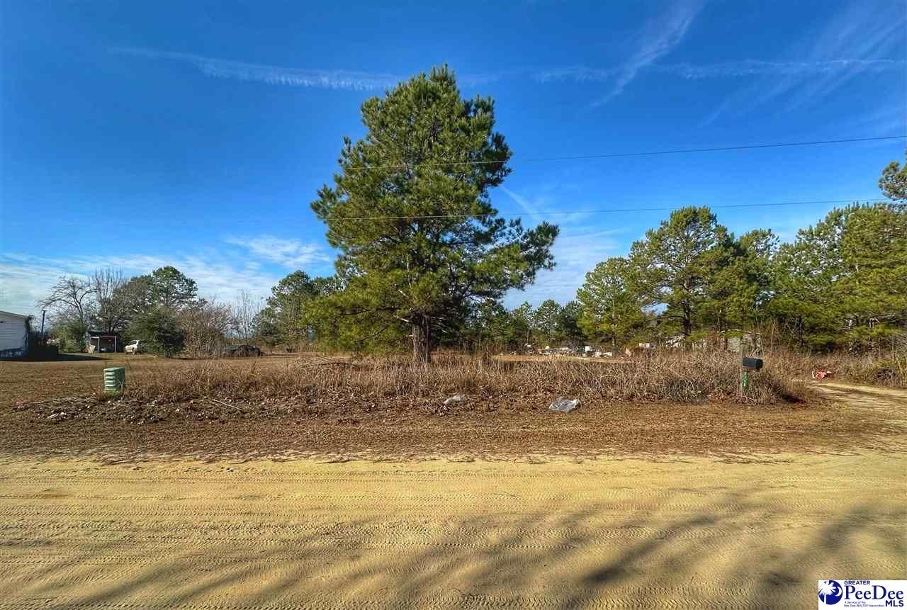 Other - Zachary Court lot: 11, Latta, SC