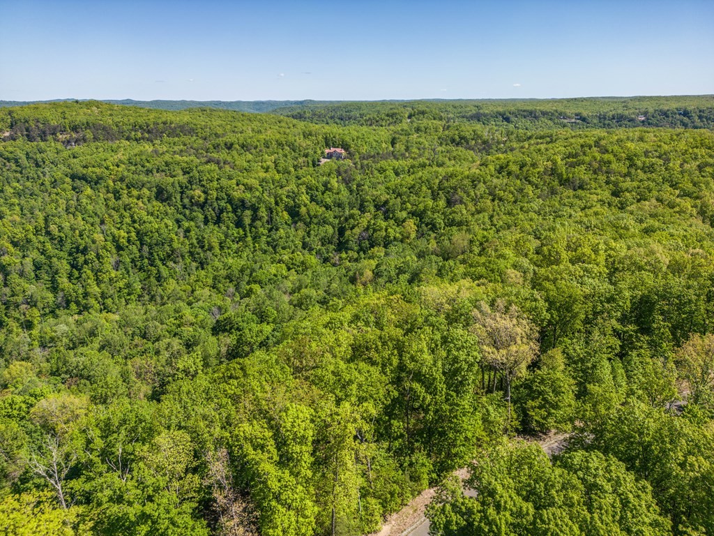 Other - 1085 Eastridge Pass, Monterey, TN