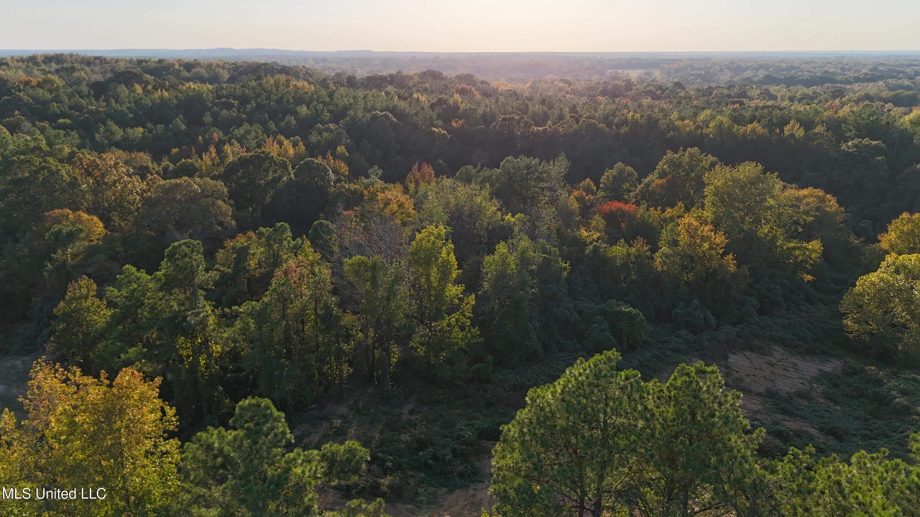 Single Family - 5 Tyro Branch Cove lot: 5, Senatobia, MS