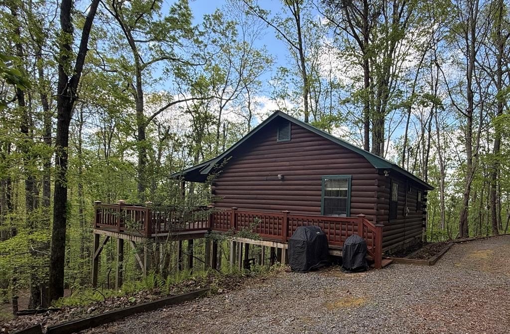 Other 2BR 1BA - 660 Ripshin Mountain Road, Blue Ridge, GA