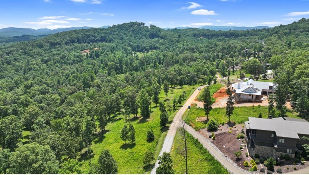 Other - Lt 11 Haven Way, Blue Ridge, GA