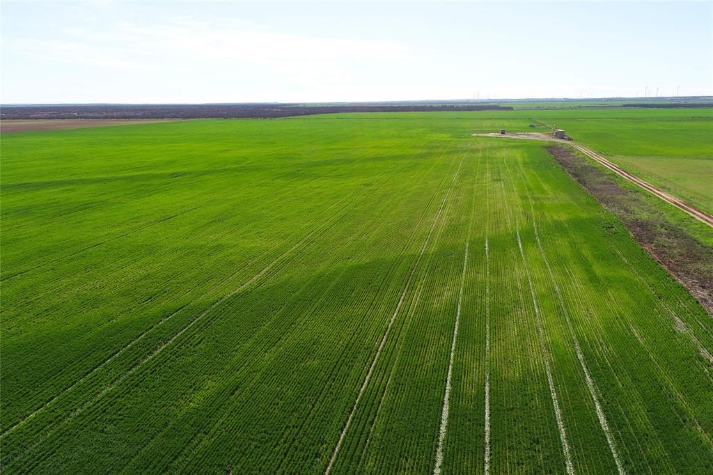 Other - County Rd 81 S, Vernon, TX