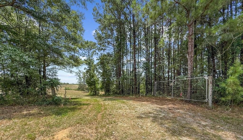 Single Family - 4154 Hwy 131, Clayton, AL