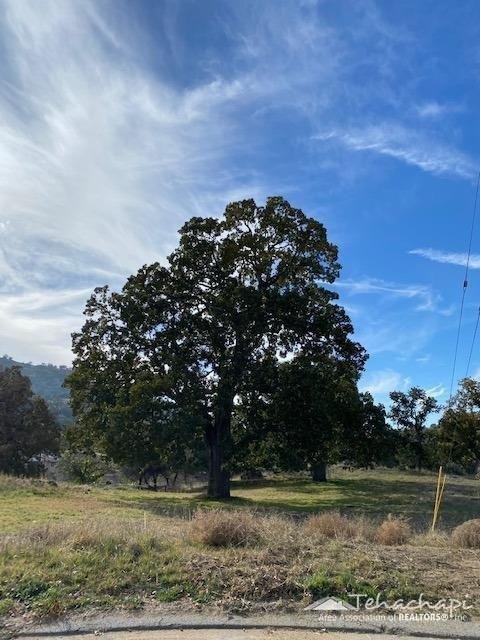 Other - High Echelon Court, Tehachapi, CA