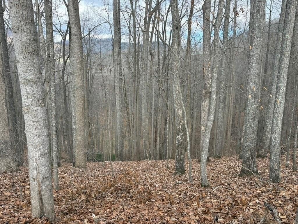 Other - Tract 3 Doc Thomas Ridge Road, Blairsville, GA