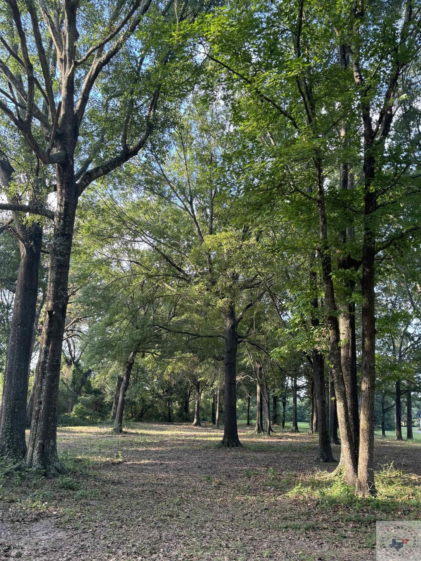 Other - 1.4 Acre Quail Creek Circle, Fouke, AR