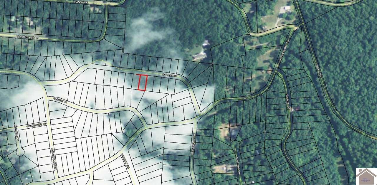 Other - Lot 206 Indiana Street, Cadiz, KY