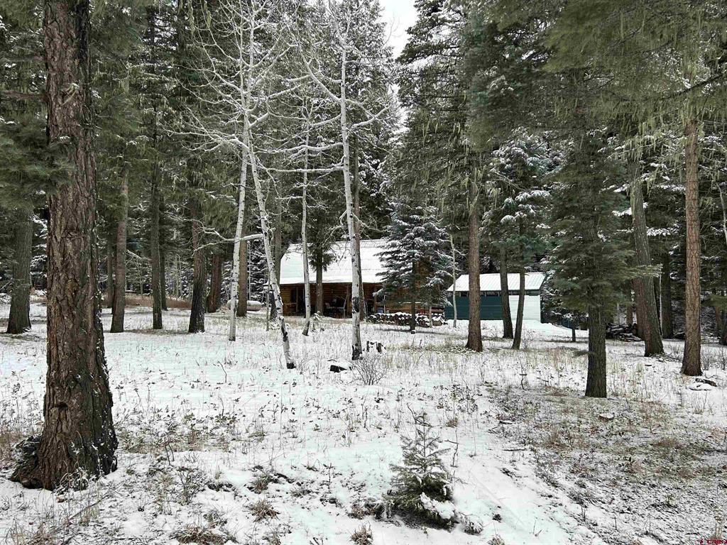 Single Family 2BR 2BA - 1609 County Road 500, Bayfield, CO