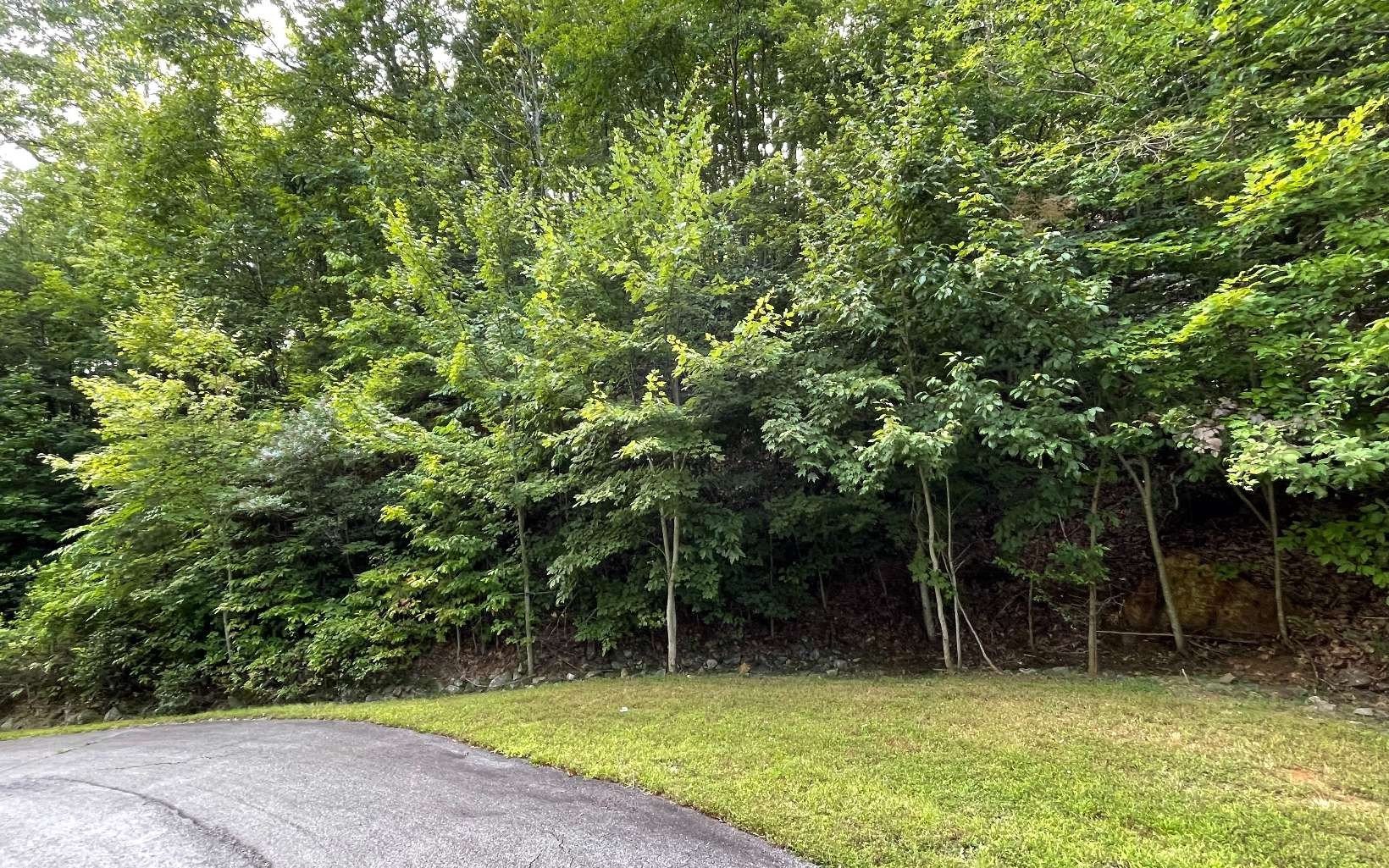 Other - Lot 34 Overlook At Yh, Young Harris, GA