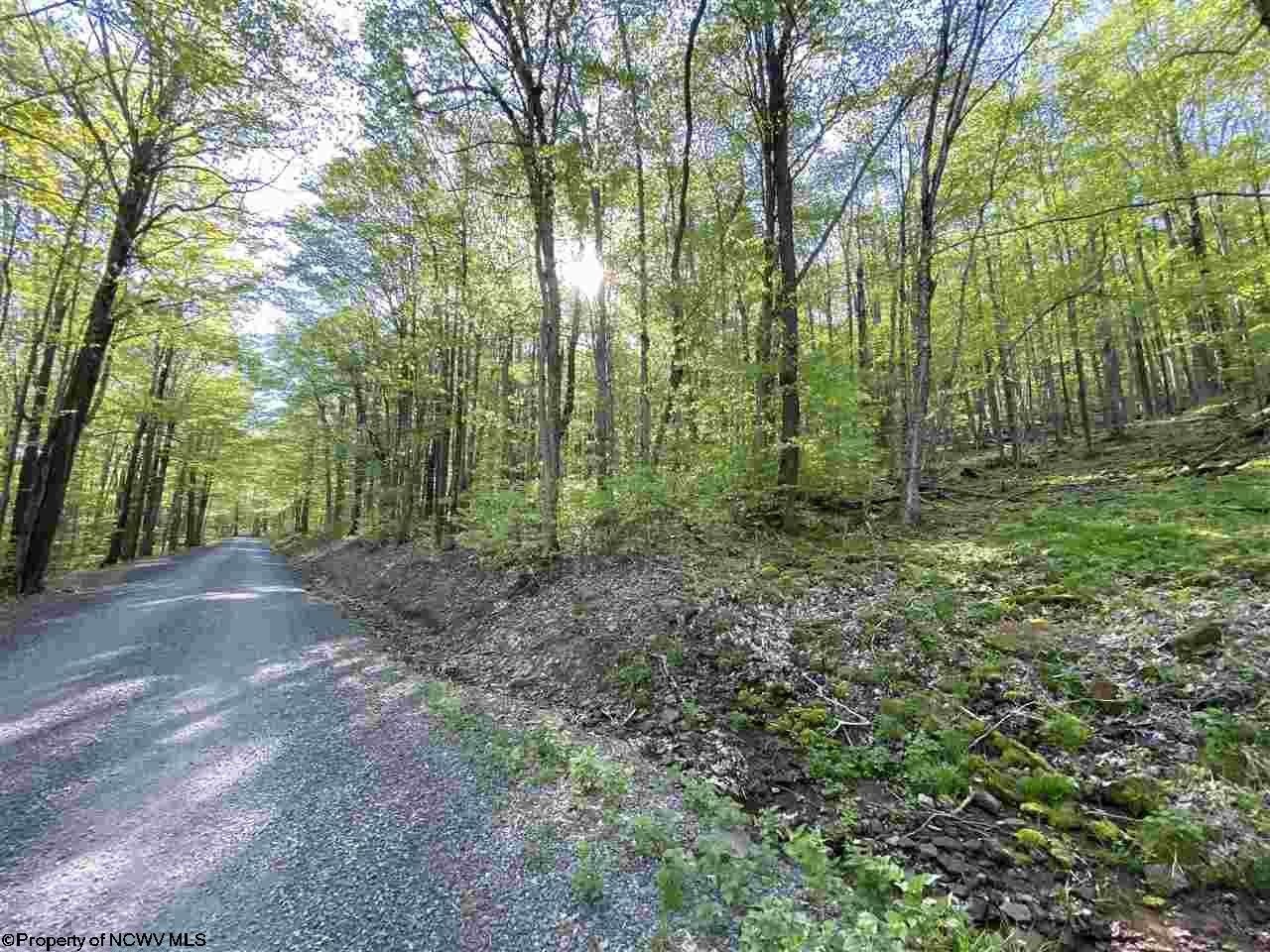 Other - Lot 147 Cabin Mountain Road, Davis, WV