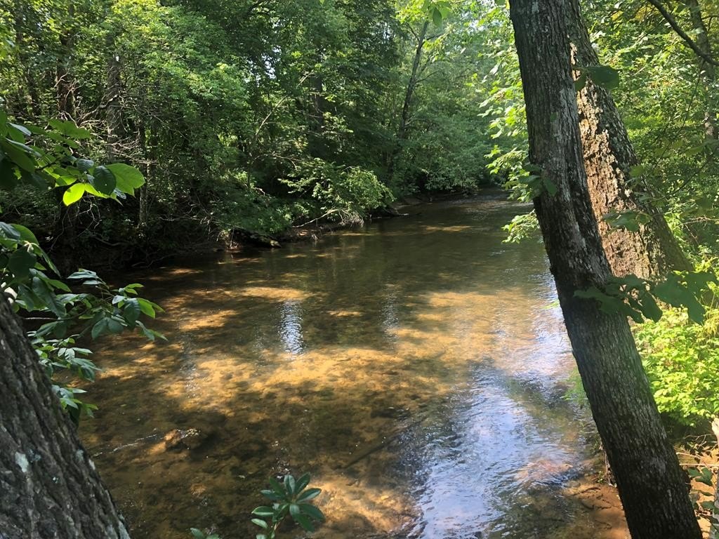 Other - Lot 9 Riverside, Blairsville, GA