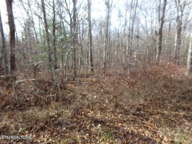 Other - 2142 Ona Rd, Crossville, TN