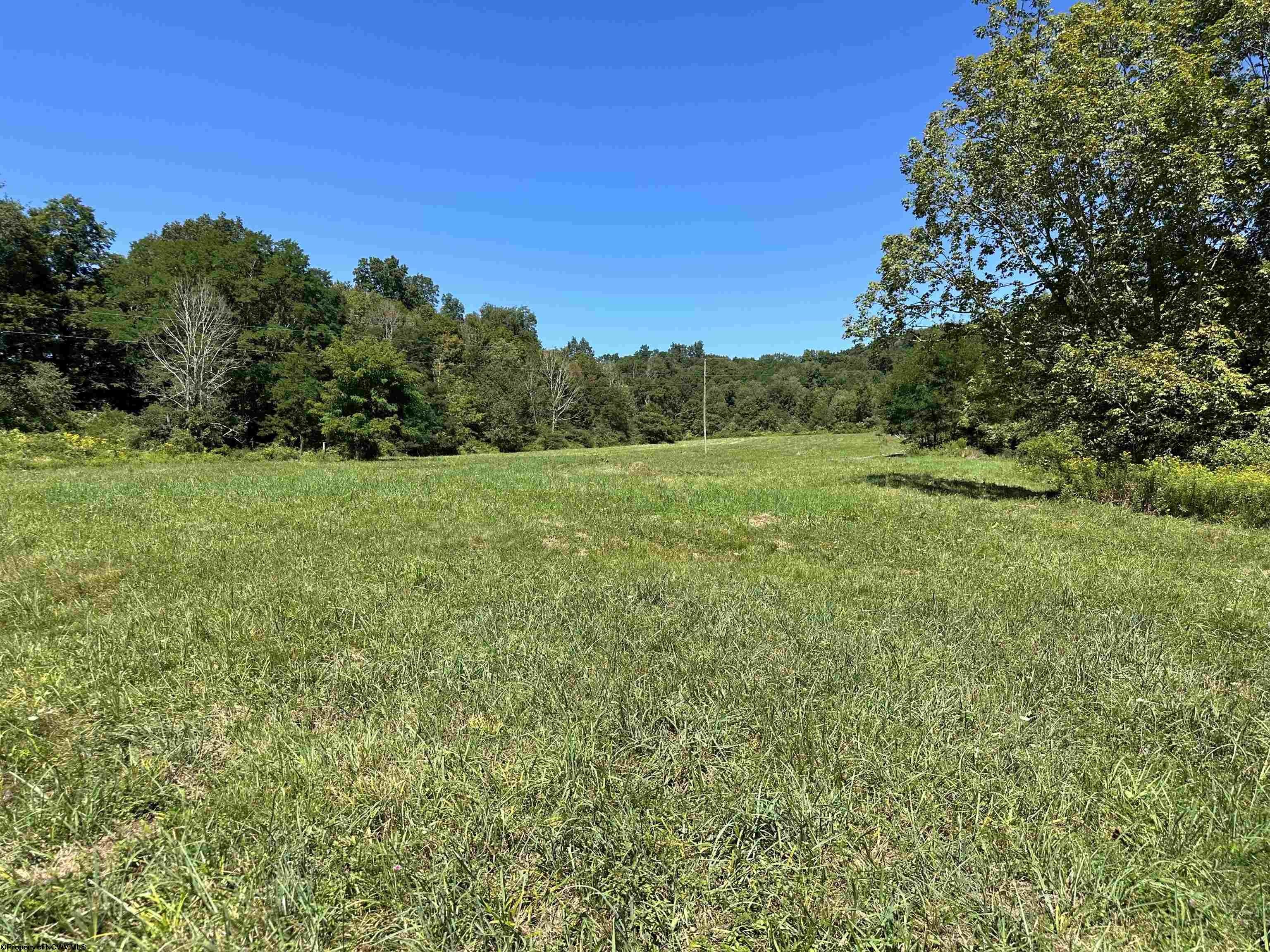 Other - Lot 3 Alpenglow Ridge Drive, Dryfork, WV