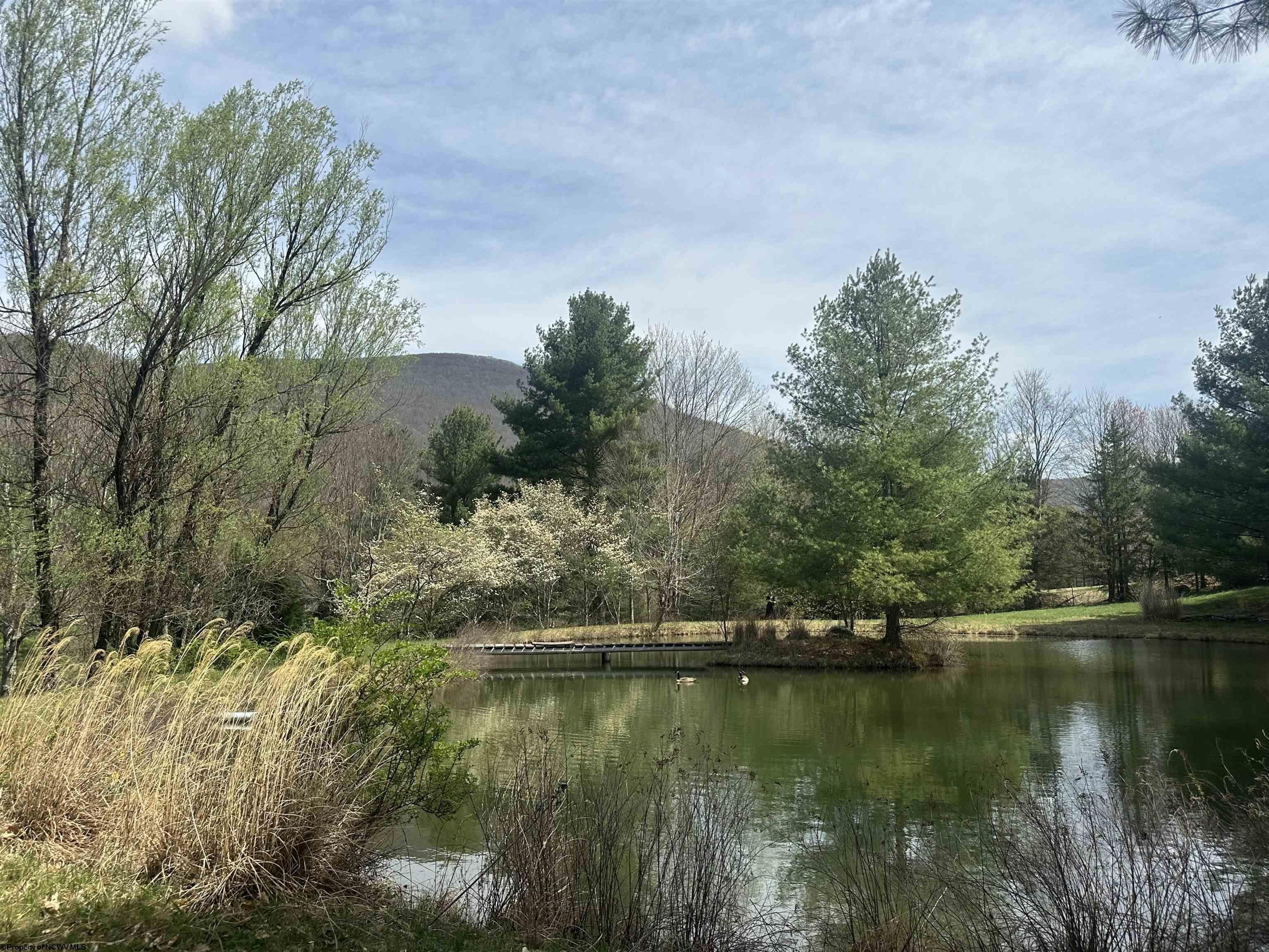 Other - Lot 2 Bonner Mountain Road, Red Creek, WV