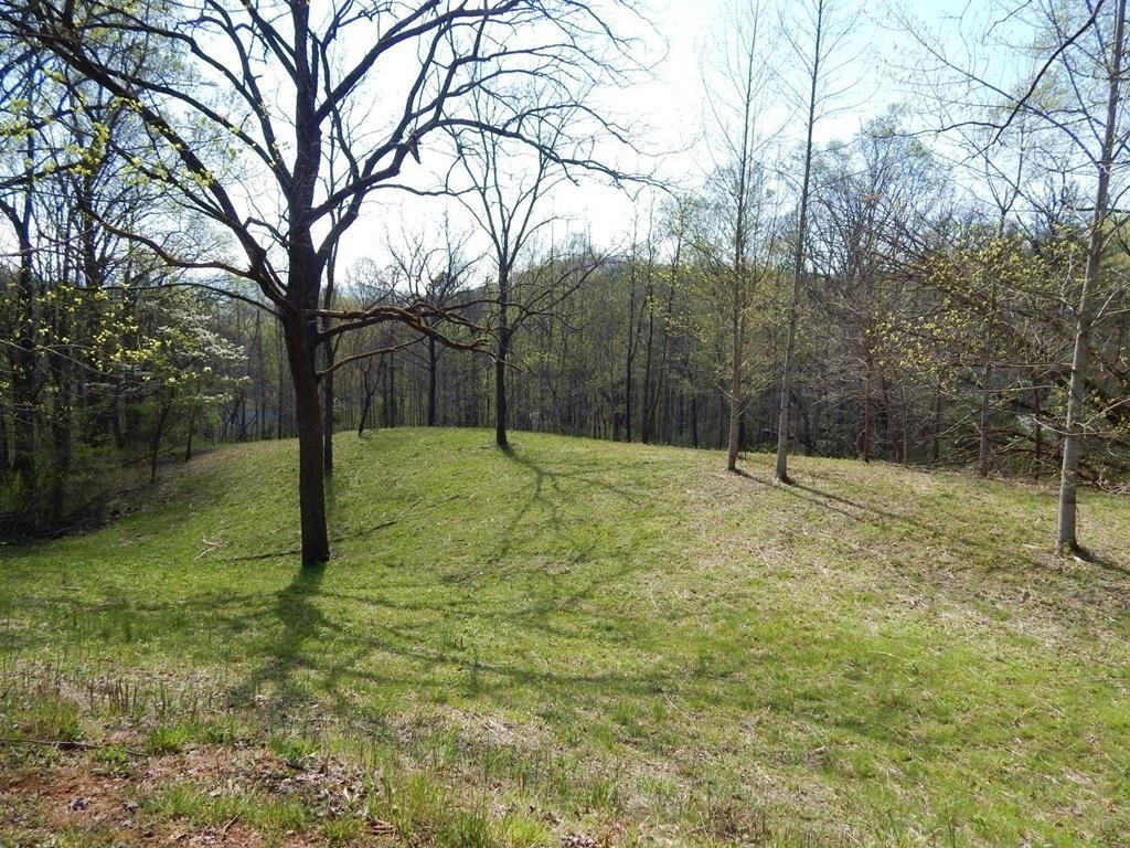 Other - Lot 6 High Meadows, Hayesville, NC