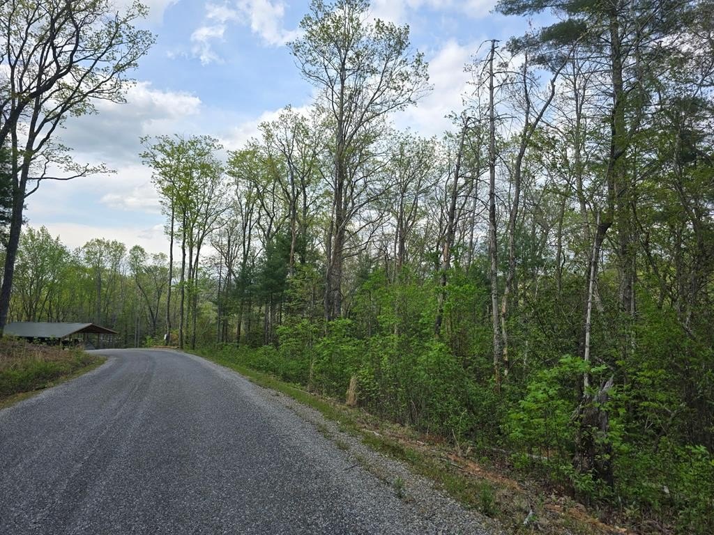 Other - Lot 10 Kennedys Court, Blairsville, GA