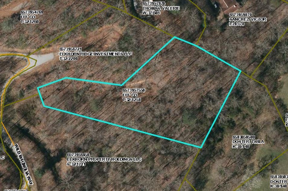 Other - Wild Magnolia Way lot: 34, Franklin, NC