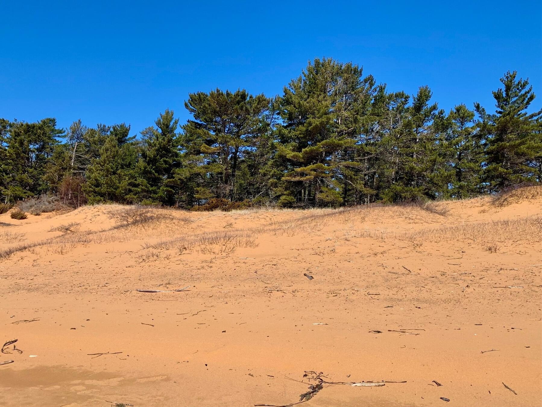 Other - N Whitefish Point RD, Paradise, MI