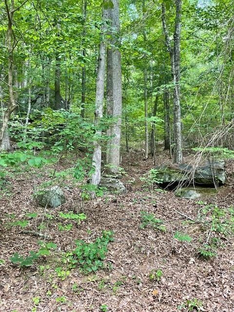 Other - 11 Lonesome Pine Road lot: 11, Murphy, NC