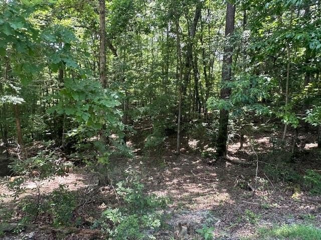 Other - Lot 208 Boulder Creek Road, MURPHY, NC