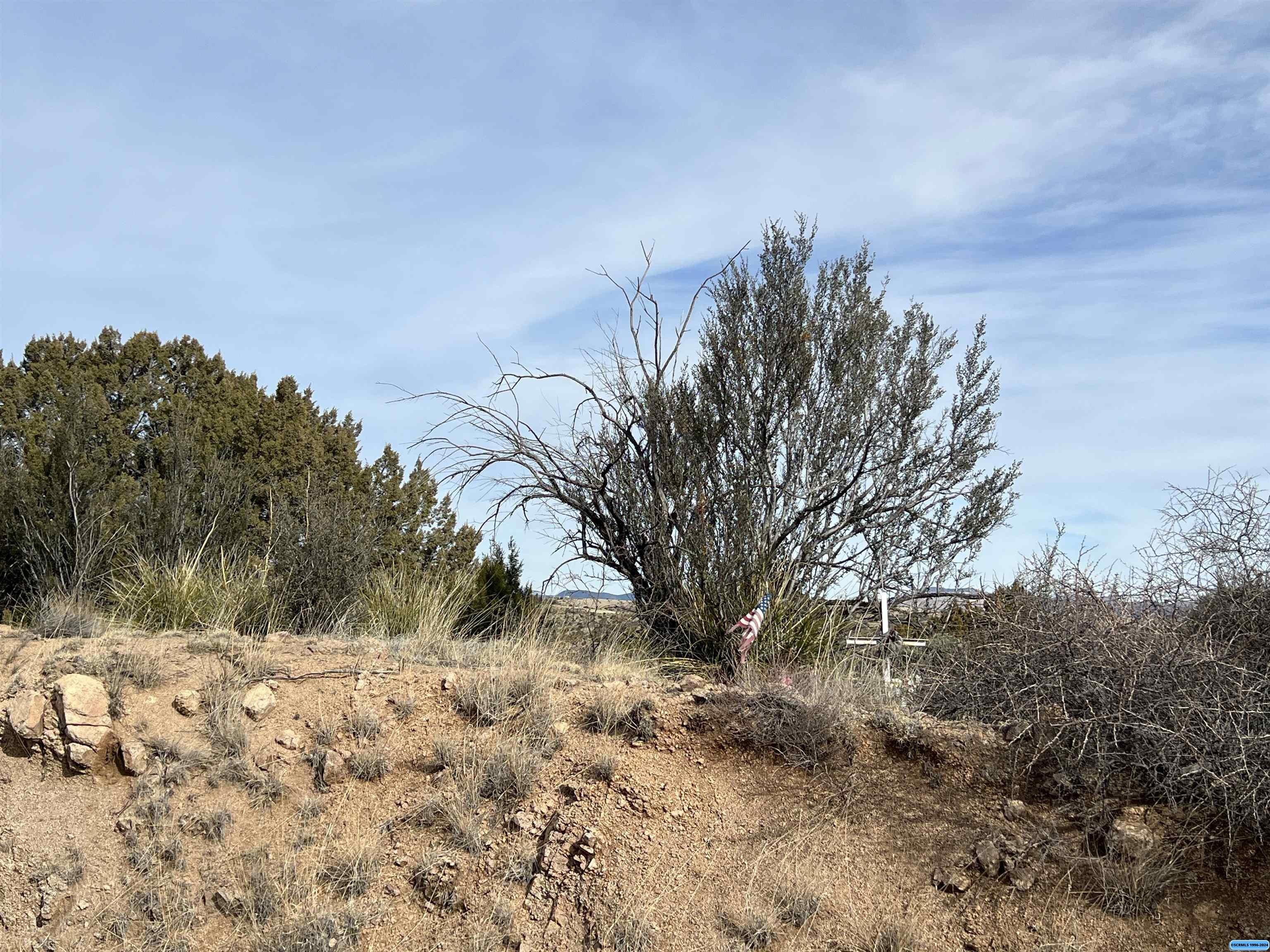 Other - 1311 S Hwy 90, Silver City, NM