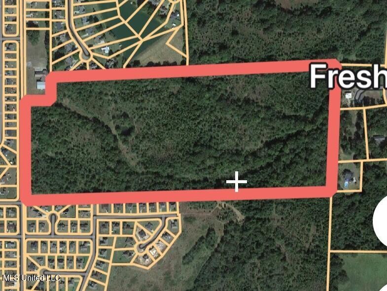 60 Acres Woolfolk Rd