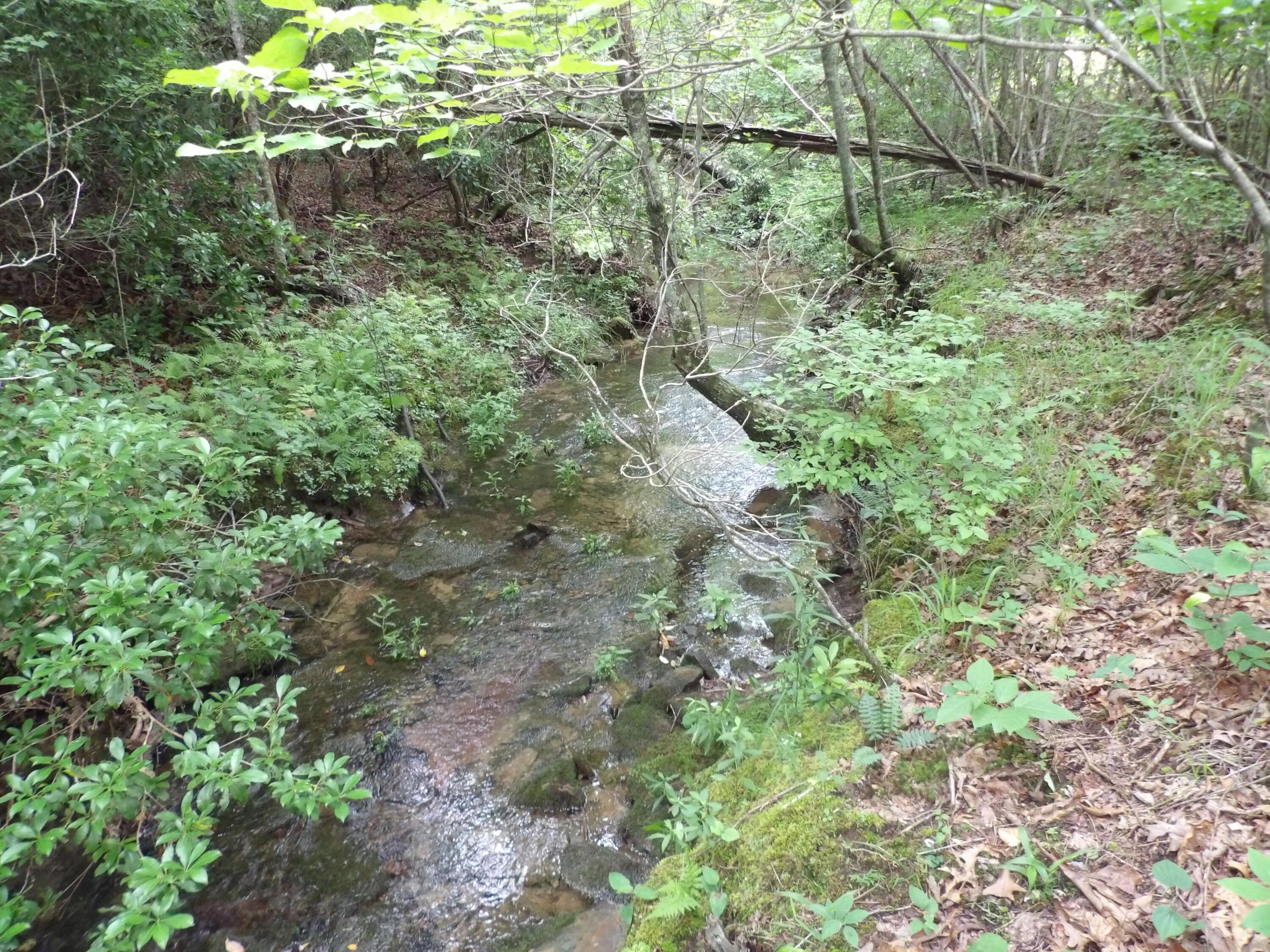 Other - Summer City Road lot: 12, Evensville, TN