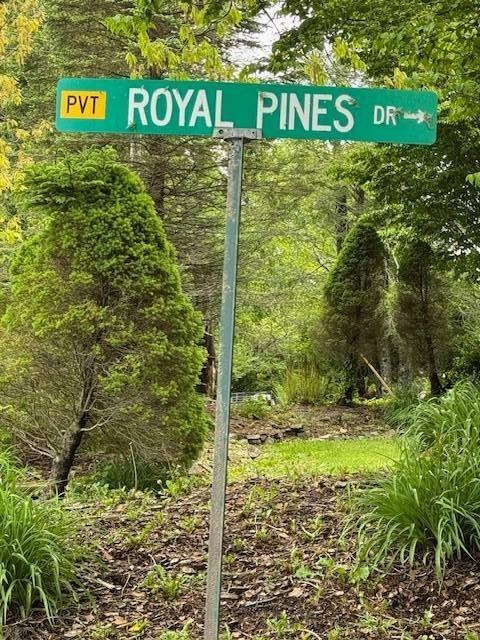 Other - Royal Pines Drive lot: 8, Newland, NC
