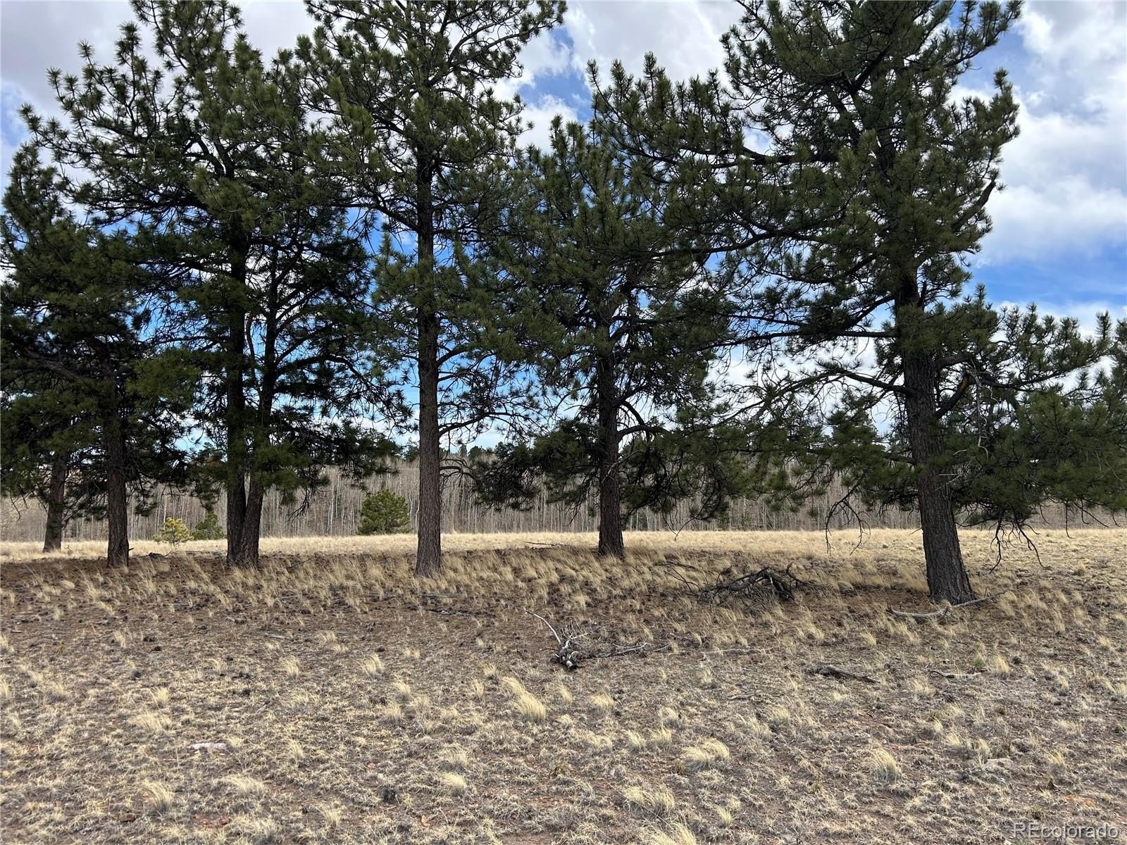 Plots and Land - 304 Brahma Circle, Hartsel, CO