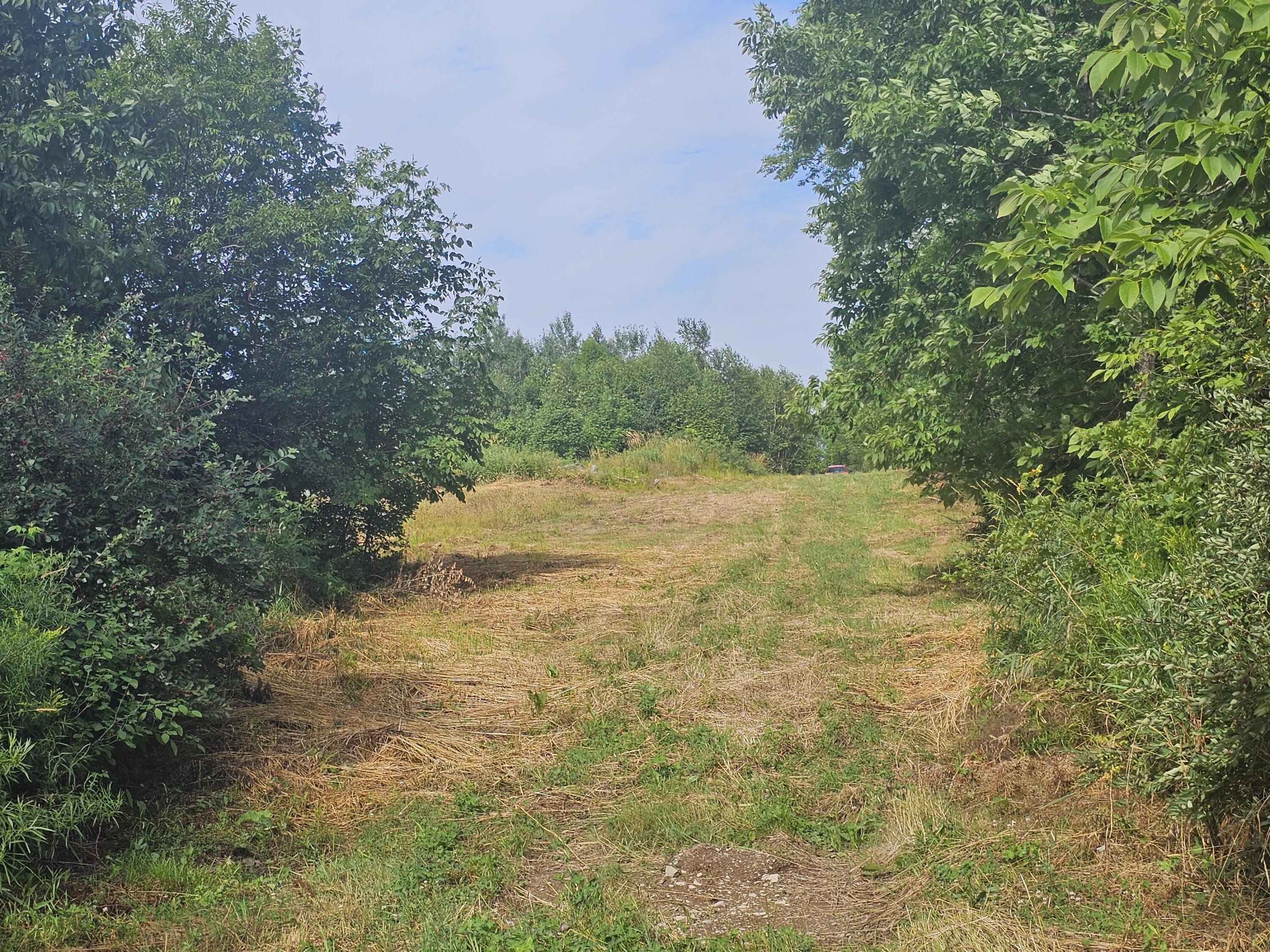 Other - L3 M,R-1 Aroostook Scenic Highway, Patten, ME