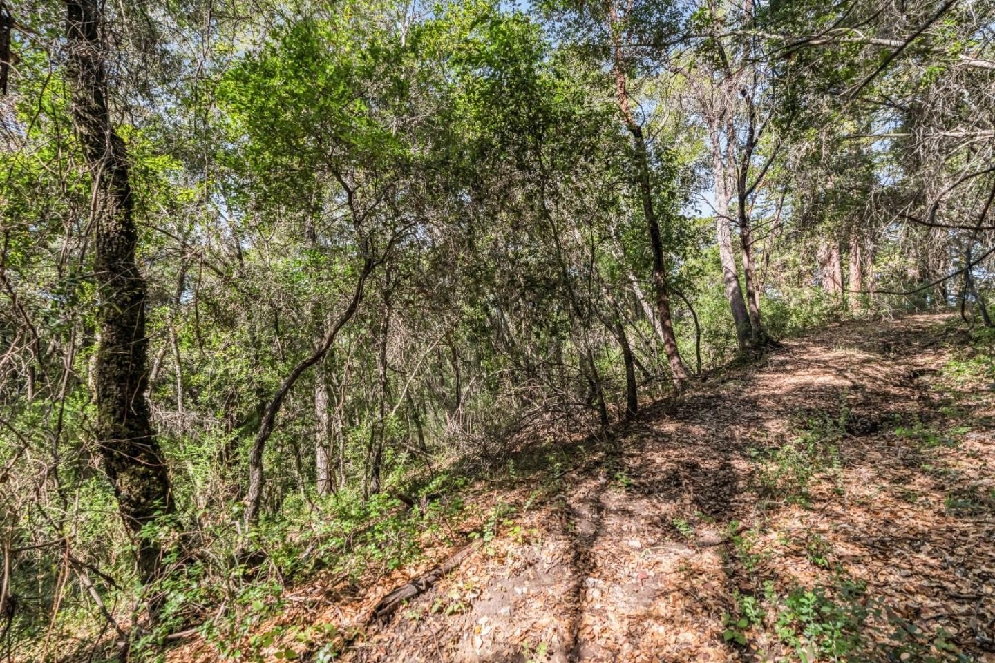 Other - Lot 08 Madrone AVE, FELTON, CA