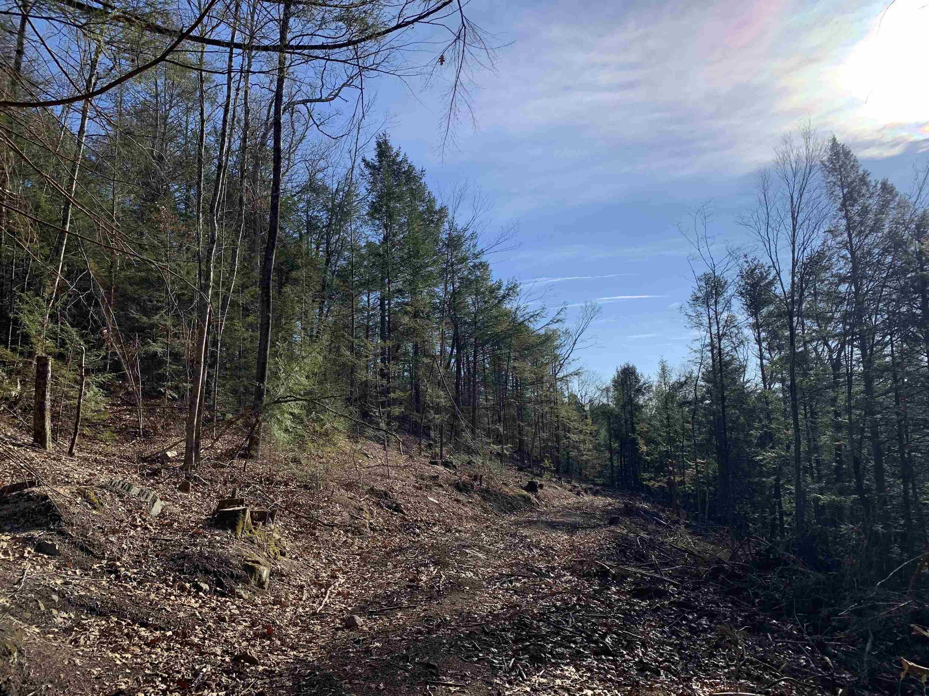 Map3 Lot9-1 Scotland Rd  