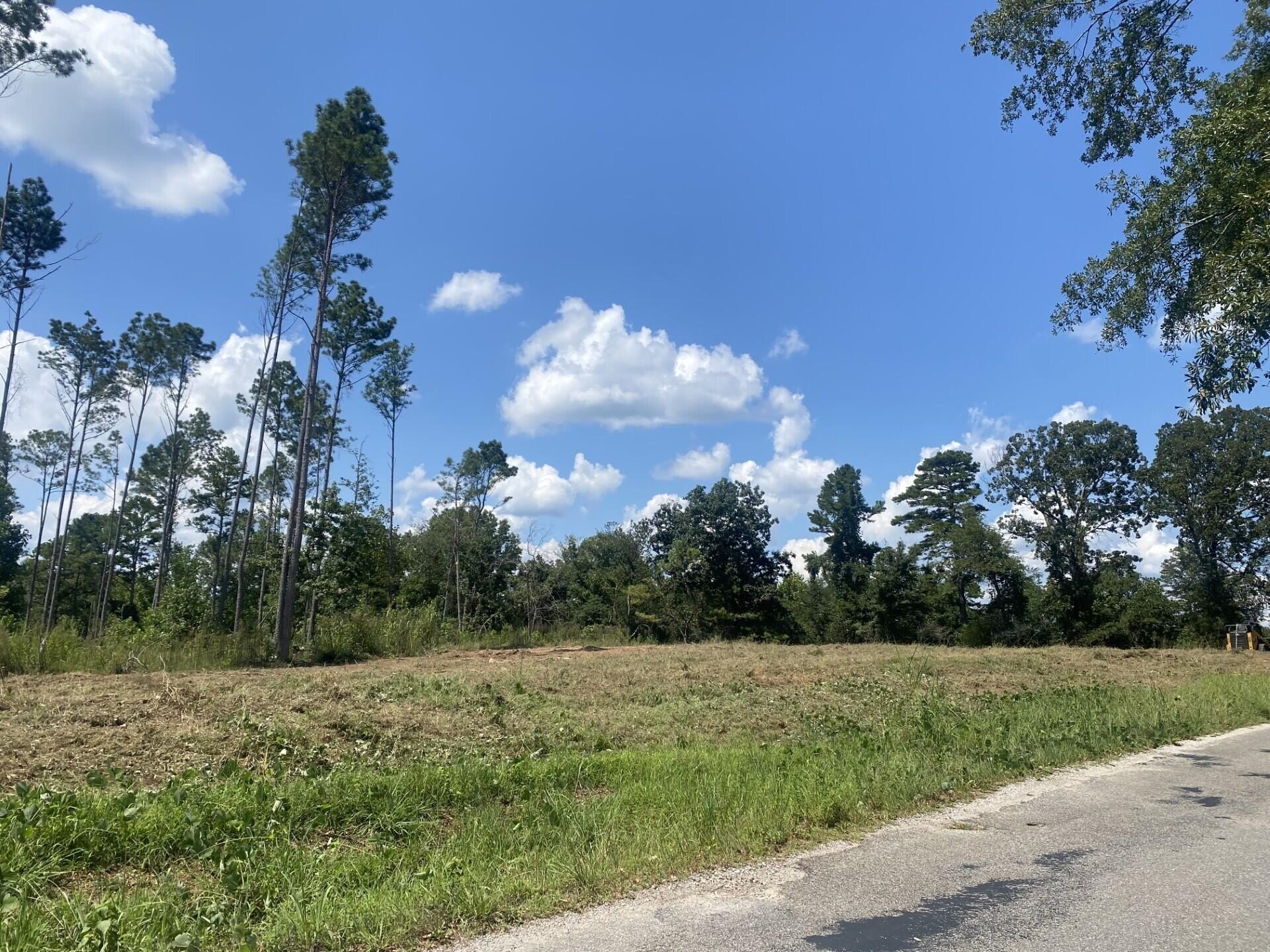 Single Family - Toccopola Junction Road, Toccopola, MS