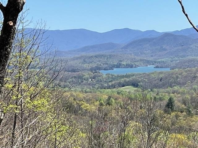 Other - Lot 11 Longview Drive, Hayesville, NC