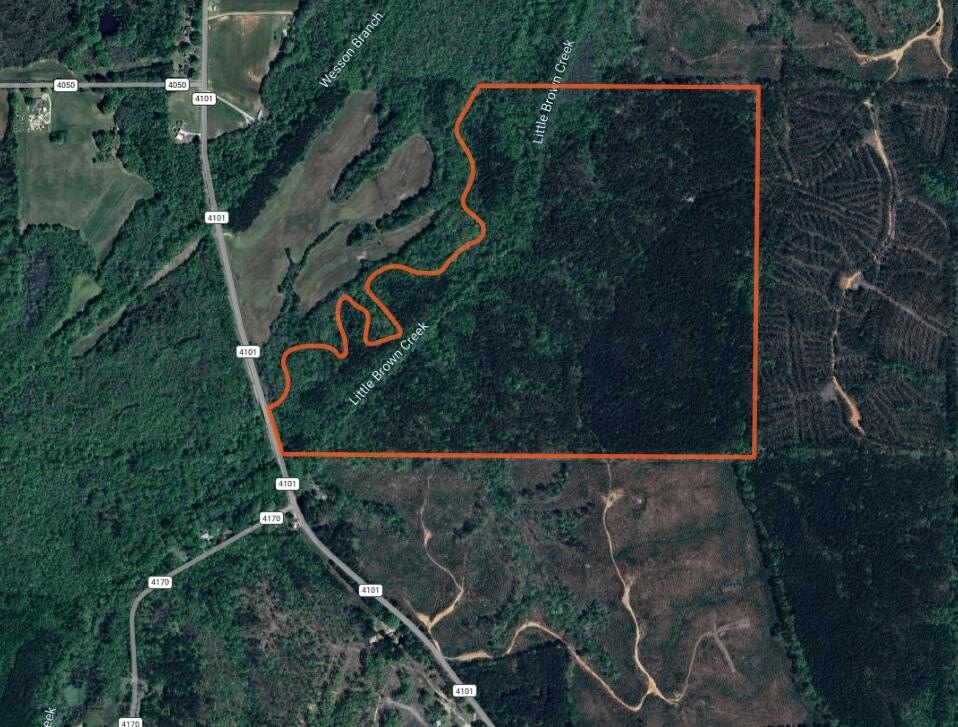 Single Family - County Road 4101, New Site, MS
